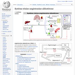 Système rénine-angiotensine-aldostérone