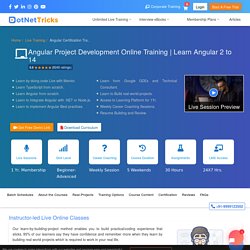 AngularJS Online Training Overview