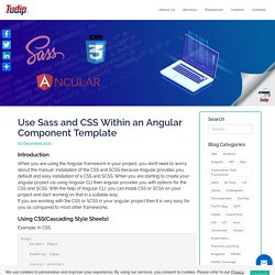 Blog: Use Sass and CSS Within an Angular Component Template