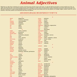 Animal Adjectives