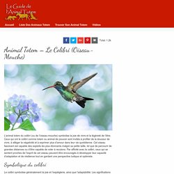 Animal Totem - Le Colibri (Oiseau-Mouche)