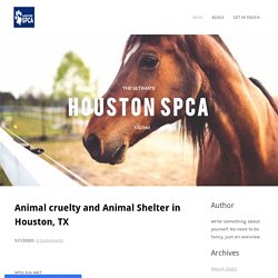 ​Animal cruelty and Animal Shelter in Houston, TX