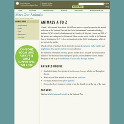 Smithsonian- Animal Index