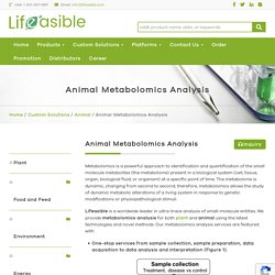 Animal Metabolomics Analysis