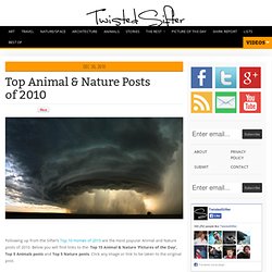 Top Animal & Nature Posts of 2010