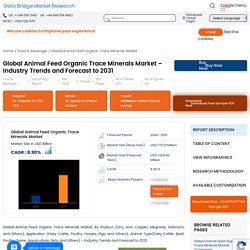 Animal Feed Organic Trace Minerals Market