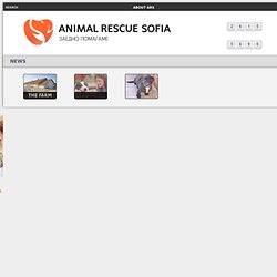  Animal Rescue Sofia