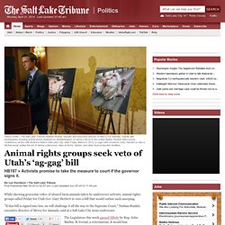 Animal rights groups seek veto of Utah’s ‘ag-gag’ bill