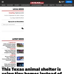 This Texas animal shelter is using tiny homes instead of kennels to house dogs in need