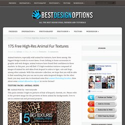 175 Free High-Res Animal Fur Textures