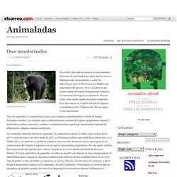 Inicio « Animaladas « Blogs El Correo