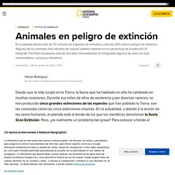 Animales en peligro de extinción (lista 2020)