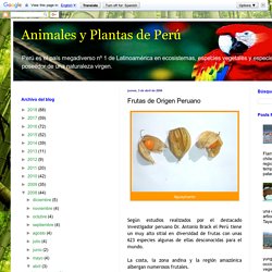 Animales y Plantas de Perú: Frutas de Origen Peruano