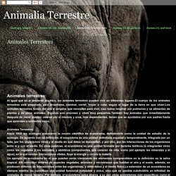 Animalia Terrestre: Animales Terrestres