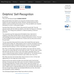 Animals: Dolphins' Self-Recognition (VOA Special English 2001-05-30)