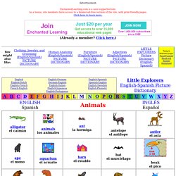 Animals (English/Spanish) PICTURE DICTIONARY