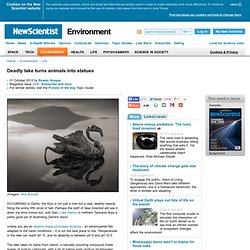 Deadly lake turns animals into statues - environment - 01 October 2013
