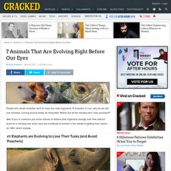 CRACKED: 7 Animals That Are Evolving Right Before Our Eyes