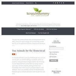 Scratch Mommy – Life, From Scratch Top Animals for the Homestead - Scratch Mommy - Life, From Scratch