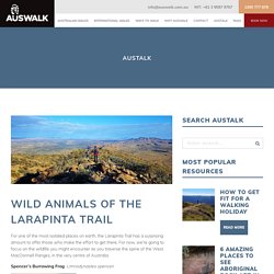 Wild Animals of the Larapinta Trail - AUSWALK