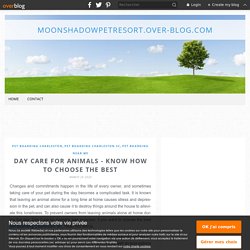 Day Care for Animals - Know How To Choose The Best - moonshadowpetresort.over-blog.com