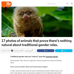 17 photos of animals that prove there's nothing natural about traditional gender roles.