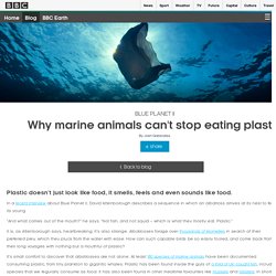 Why marine animals can't stop eating plastic #BluePlanet2