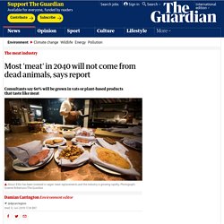 Most 'meat' in 2040 will not come from dead animals, says report