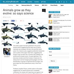 Animals grow as they evolve: so says science