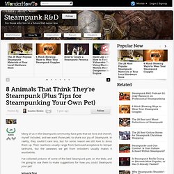 8 Animals That Think They're Steampunk (Plus Tips for Steampunking Your Own Pet)