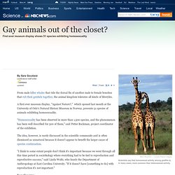 Gay animals out of the closet? - LiveScience