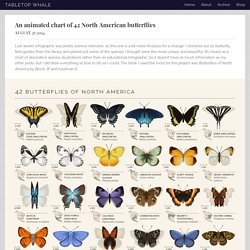 An animated chart of 42 North American butterflies