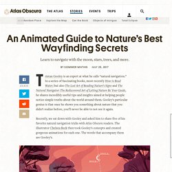 An Animated Guide to Nature's Best Wayfinding Secrets - Atlas Obscura