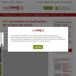 Animation et motivation de la force de vente - NetPME