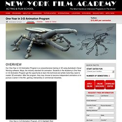 New York Film Academy - Film School - One -Year 3D Animation Workshops & Programs