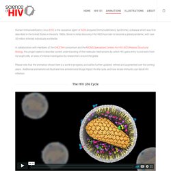Animations – Science of HIV