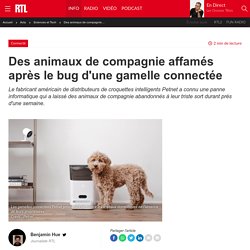 Des animaux de compagnie affamés après le bug d'une gamelle connectée