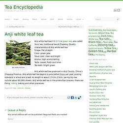 Anji white leaf tea