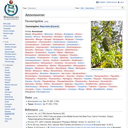 Annonaceae