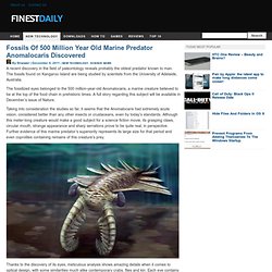 Fossils Of 500 Million Year Old Marine Predator Anomalocaris Discovered