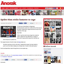 Spider-Man sticks hamster to cage