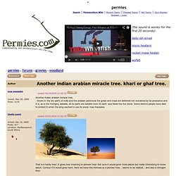 Another indian arabian miracle tree. khari or ghaf tree. (woodland forum at permies)