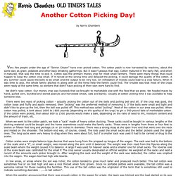 Another Cotton Picking Day! by Norris Chambers (Old Timer's Tales)
