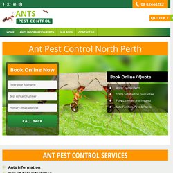 Ant Pest Control North Perth