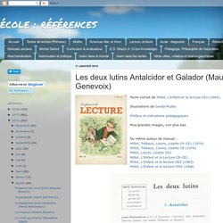 Les deux lutins Antalcidor et Galador (Maurice Genevoix)