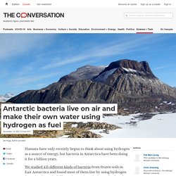 Antarctic bacteria live on air and make their own water using hydrogen as fuel