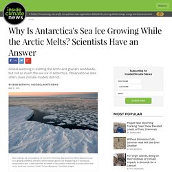Why Is Antarctica's Sea Ice Growing While the Arctic Melts? Scientists Have an Answer
