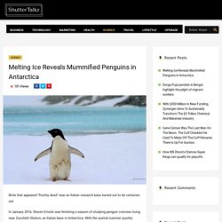 Melting Ice Reveals Mummified Penguins in Antarctica - ShutterTalkz