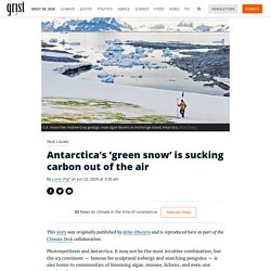 Antarctica’s ‘green snow’ is sucking carbon out of the air By Luna Shyr on Jun 22, 2020 at 3:50 am