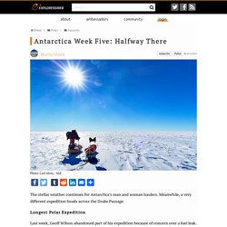 Antarctica Week Five: Halfway There